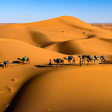 egypt
